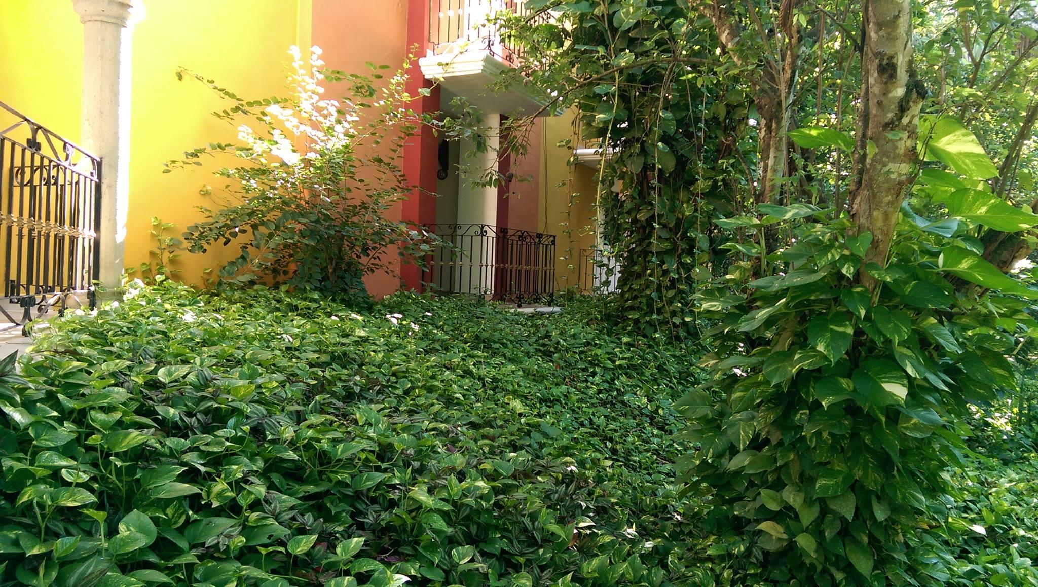 Ecotel Quinta Regia Valladolid  Exterior photo