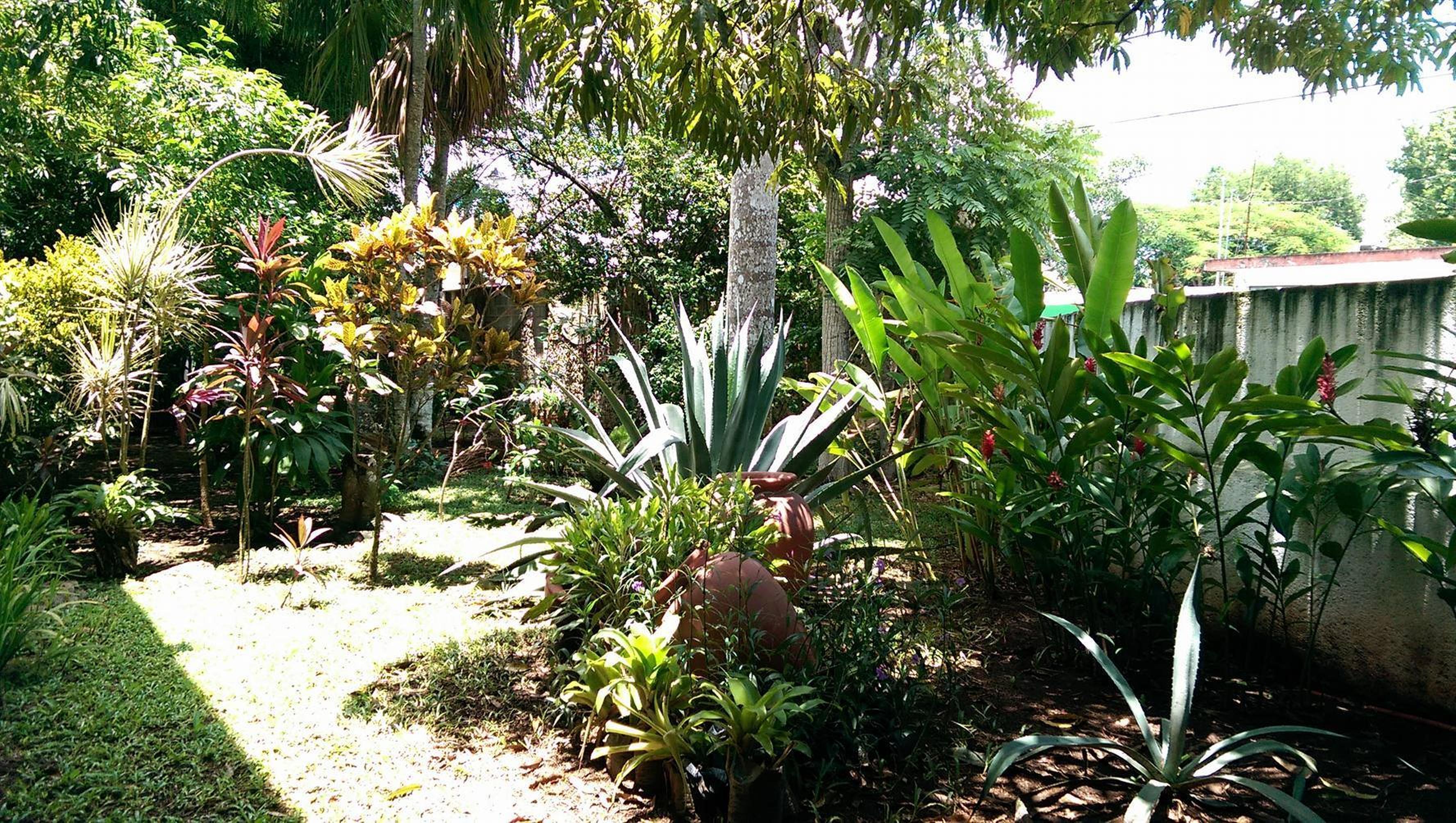 Ecotel Quinta Regia Valladolid  Exterior photo